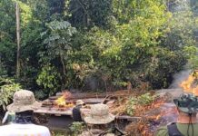 Em Rondônia, PRF participa de operação para remoção de invasores da Terra Indígena Karipuna — Polícia Rodoviária Federal WhatsApp Image 2024-06-13 at 14.52.06 (1).jpeg
