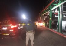Em Salinas (MG), PRF recupera veículo furtado e transportado dentro de “cegonheira” — Polícia Rodoviária Federal WhatsApp Image 2024-06-27 at 15.19.18.jpeg