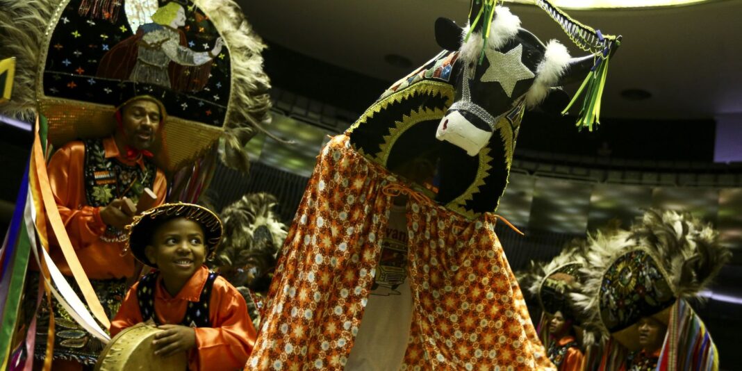 Hoje é Dia: Semana celebra bumba meu boi, capoeira e Hoje é Dia: Semana celebra bumba meu boi, capoeira e Lei Afonso Arinos