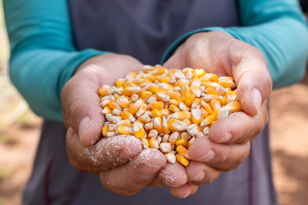 Mais de 21 mil famílias baianas de agricultores são beneficiadas Logo