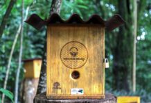 Meliponário municipal é instalado pela Prefeitura no Jardim Botânico – Secretaria de Comunicação Meliponário municipal é instalado pela Prefeitura no Jardim Botânico – Secretaria de Comunicação