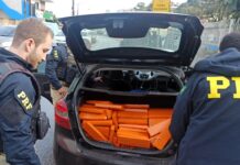 Motorista foge da abordagem mas é preso com maconha na BR-101 em Biguaçu — Polícia Rodoviária Federal 6fc716de-dde1-48f1-8e90-8455549dda50.jpg