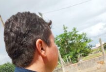 Na Semana Nacional do Meio Ambiente 57 aves silvestres são resgatadas pela PRF no RN — Polícia Rodoviária Federal Ambiental 2.jpeg