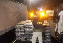 PRF apreende 4 toneladas de maconha em Cambé (PR) — Polícia Rodoviária Federal WhatsApp Image 2024-05-31 at 01.05.49.jpeg