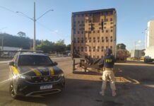 PRF apreende caminhão carregado com mais de 12 milhões de cigarros em Muriaé (MG) — Polícia Rodoviária Federal WhatsApp Image 2024-06-04 at 17.48.35.jpeg