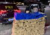 PRF encontra cerca de meia tonelada de maconha após sinistro com carreta na BR-251 — Polícia Rodoviária Federal WhatsApp Image 2024-06-25 at 01.48.10.jpeg