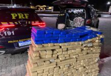 PRF encontra cerca de meia tonelada de maconha após sinistro com carreta na BR-251 — Polícia Rodoviária Federal WhatsApp Image 2024-06-25 at 01.48.10.jpeg