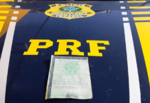 PRF na Paraíba recupera mais dois carros furtados e flagra condutor utilizando documento falsificado — Polícia Rodoviária Federal motorista-preso-com-documento-falso.jfif.1200x0_q85_upscale.png
