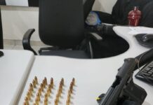PRF no combate e prevenção aos Crimes Ambientais no Sul do Amapá! — Polícia Rodoviária Federal WhatsApp Image 2024-06-22 at 08.12.46.jpeg