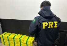 PRF prende motorista e apreende cerca de 256 quilos de maconha em João Pinheiro (MG) — Polícia Rodoviária Federal WhatsApp Image 2024-06-11 at 14.31.16.jpeg