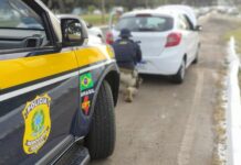 PRF recupera carro roubado que circulava em Taguatinga — Polícia Rodoviária Federal d156beb4-9bbe-4b31-8f5b-f3b63e70f896.jpeg