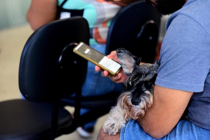 Prefeitura disponibiliza Wi-Fi gratuito em equipamentos municipais – Secretaria de Comunicação