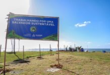 Prefeitura inicia plantio de mudas de coqueiros no Jardim de Alah – Secretaria de Comunicação Prefeitura inicia plantio de mudas de coqueiros no Jardim de Alah – Secretaria de Comunicação