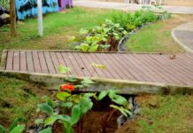 Prefeitura instala biovaleta para drenagem sustentável em Itapuã – Secretaria de Comunicação Prefeitura instala biovaleta para drenagem sustentável em Itapuã – Secretaria de Comunicação