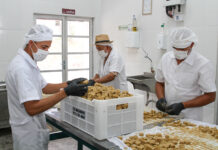 SEI divulga carta de conjuntura do 1º trimestre de 2024 Logo