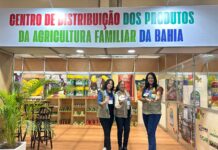 Agricultura Familiar Baiana leva vitrine de sustentabilidade e qualidade para SuperBahia 2024 Logo