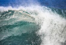 Baianos vão às águas da Maldivas para etapa crucial do mundial de bodyboarding Logo