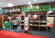 Diversidade e Qualidade da Agricultura Familiar Encantam no Chocolat Festival Bahia 2024 Logo