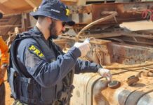 Em Rondônia, PRF finaliza Operação Temática contra Crimes Ambientais (OTECA) — Polícia Rodoviária Federal Emissões veiculares