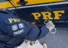 Em Seabra (BA), motorista que realizava manobras na rodovia é preso pela PRF por embriaguez ao volante — Polícia Rodoviária Federal f5801336-e928-4d05-bbe4-77a69882156b.jpeg