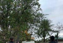 Em Seropédica-RJ, PRF recupera carro com placas clonadas e sinal identificador adulterado — Polícia Rodoviária Federal WhatsApp Image 2024-07-08 at 19.17.19.jpeg