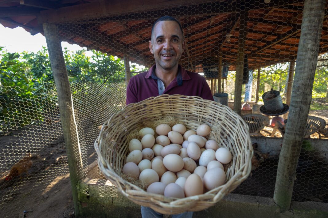 Galinheiros e equipamentos elevam produção e renda de agricultores familiares Logo