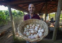 Galinheiros e equipamentos elevam produção e renda de agricultores familiares em Governador Mangabeira Logo