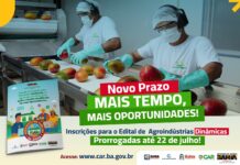 Governo do Estado prorroga prazo para Edital de Apoio às Agroindústrias Dinâmicas na Bahia Logo