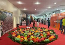 Governo fortalece turismo, agricultura familiar e economia solidária no Chocolat Festival Ilhéus Governo fortalece turismo, agricultura familiar e economia solidária no Chocolat Festival Ilhéus