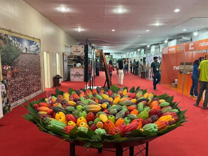 Governo fortalece turismo, agricultura familiar e economia solidária no Chocolat Festival Ilhéus