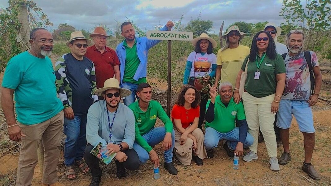 Inema participa de debates sobre recaatingamento e mudanças climáticas em Logo