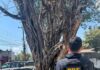Motocicleta roubada é recuperada pela PRF durante fiscalização na BR-155 em Marabá/PA — Polícia Rodoviária Federal WhatsApp Image 2024-07-24 at 15.38.16.jpeg