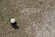 Mudanças climáticas já interferem em secas e cheias na Amazônia Mudanças climáticas já interferem em secas e cheias na Amazônia