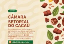 Na região sul da Bahia, Secretaria da Agricultura reúne cadeia produtiva do cacau para discutir demandas do setor Logo