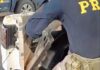 PRF apreende 10 quilos de drogas em Seropédica/RJ — Polícia Rodoviária Federal WhatsApp Image 2024-07-28 at 12.33.25 (1).jpeg