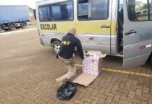 PRF apreende 30 mil maços de cigarros paraguaios em Van Escolar na BR-365 — Polícia Rodoviária Federal WhatsApp Image 2024-07-11 at 18.21.23.jpeg