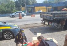 PRF apreende 300 kg de Maconha, em carroceria de caminhão, na BR 267 em Juiz de Fora (MG) — Polícia Rodoviária Federal Maconha Juiz de Fora 1.jpeg