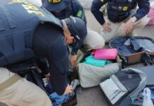 PRF apreende Pasta Base e Cloridrato de Cocaína dentro de Van na BR 381 em Betim(MG) — Polícia Rodoviária Federal Pasta Base e Cloridrato Cocaína Betim.jpeg