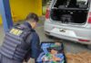 PRF apreende maconha e recupera veículo na Régis Bittencourt — Polícia Rodoviária Federal WhatsApp Image 2024-07-17 at 18.34.23.jpeg