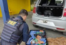 PRF apreende maconha e recupera veículo na Régis Bittencourt — Polícia Rodoviária Federal WhatsApp Image 2024-07-17 at 18.34.23.jpeg