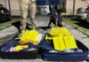 PRF apreende mais de 50 kg de maconha em ônibus de turismo em Feira de Santana (BA) — Polícia Rodoviária Federal WhatsApp Image 2024-07-27 at 23.43.44.jpeg