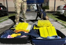 PRF apreende mais de 50 kg de maconha em ônibus de turismo em Feira de Santana (BA) — Polícia Rodoviária Federal WhatsApp Image 2024-07-27 at 23.43.44.jpeg