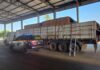 PRF apreende quase 30 m³ de madeira transportada de forma irregular em Ariquemes/RO — Polícia Rodoviária Federal WhatsApp Image 2024-07-25 at 13.36.18.jpeg