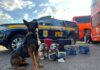 PRF apreende quase 48kg de entorpecentes em ônibus interestadual — Polícia Rodoviária Federal WhatsApp Image 2024-07-10 at 16.42.04.jpeg