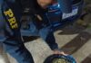 PRF detém dupla com 8 kg de maconha em Caruaru — Polícia Rodoviária Federal PRF detém dupla com 8 kg de maconha em Caruaru