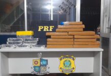 PRF e PM apreendem entorpecentes na BR 364 em Mato Grosso — Polícia Rodoviária Federal WhatsApp Image 2024-07-02 at 21.53.50.jpeg