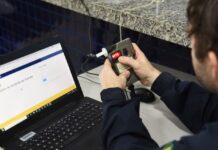 PRF na Bahia registra flagrantes de embriaguez em trechos baianos das Brs 116 e 407 — Polícia Rodoviária Federal embriaguez 11.jpeg