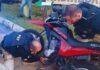 PRF recupera 24 veículos nos primeiros 10 dias de julho; número total deste ano chega à marca de 170 — Polícia Rodoviária Federal WhatsApp Image 2024-07-12 at 14.30.08.jpeg