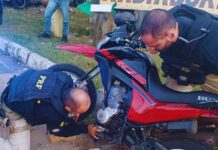 PRF recupera 24 veículos nos primeiros 10 dias de julho; número total deste ano chega à marca de 170 — Polícia Rodoviária Federal WhatsApp Image 2024-07-12 at 14.30.08.jpeg