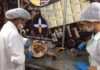 Produtos desenvolvidos nas fábricas-escolas da SEC serão expostos na 38ª edição do Chocolat Bahia, em Ilhéus Logo